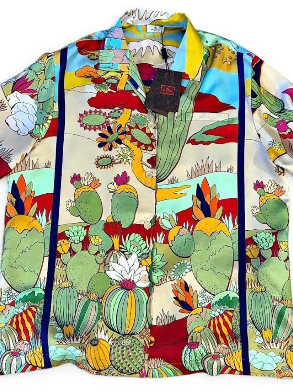 IN SEARCH OF - ETRO CACTUS TOP